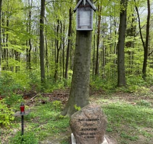 Las Michałowski pod Krakowem – piesza pętla - Wola Zachariaszowska - 3