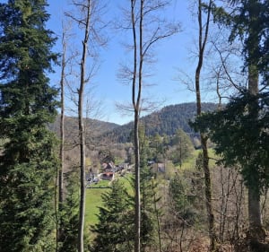 Boucle Freudeneck, Wangenbourg, Castelberg et grotte Mencke - Wangenbourg-Engenthal - 3