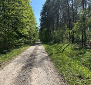 Oblęgorek-Kielce - Kielce - 4