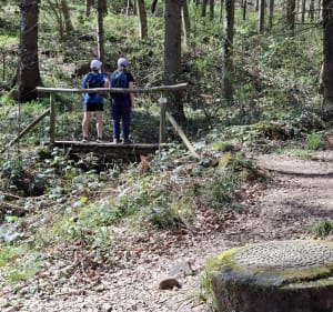 Boucle Freudeneck, Wangenbourg, Castelberg et grotte Mencke - Wangenbourg-Engenthal - 4