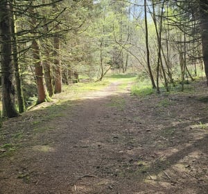 Sentier des Grands Sapins et les Verrières - Housseras - 3