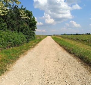 Autour de Farges-lès-Chalon et Forêt du Chalonnais à vélo - Farges-lès-Chalon - 4