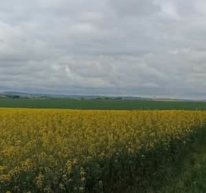 Randonnée dans la forêt de La Neuville-en-Hez - La Neuville-en-Hez - 5
