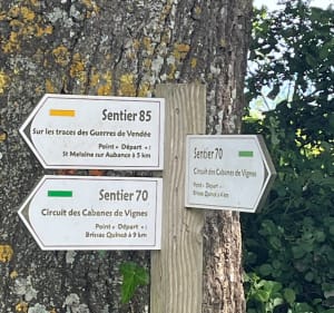Rando à Brissac-Quincé dans les coteaux d’Aubance - Brissac Loire Aubance - 3