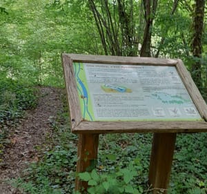 Balade sur les bords de l'Aisne - Presles-et-Boves - 3