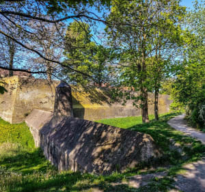 Tour de Bergues et bois des forts - Socx - 3
