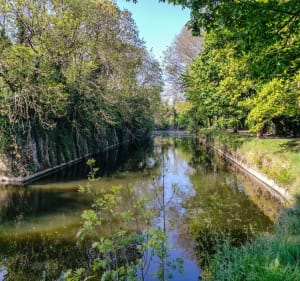 Tour de Bergues et bois des forts - Socx - 4