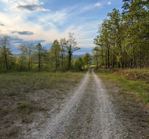 Pętla rowerem Wzgórza Niemczanskie - Wilków Wielki - 5