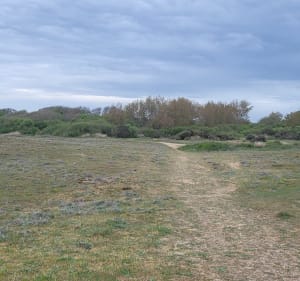 Balade entre marais et océan à Givrand - Givrand - 3