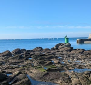 Bois du Porzou et Kerancalvez - Concarneau - 3