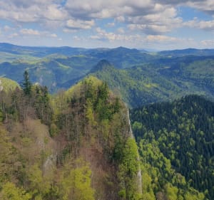 Pieniny Czorsztyńskie i Masyw Trzech Koron - Hałuszowa - 4