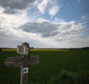 Entre champs et forêt - boucle à proximité de Campagne-les-Guînes - Campagne-lès-Guines - 3