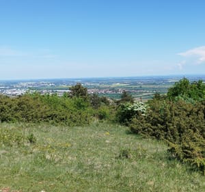 Point de vue et petite balade en forêt - Couchey - 5
