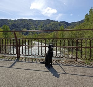 Balade autour de Lalevade, par les Prades - Pont-de-Labeaume - 3