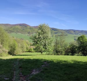 Na Kraczonik z Leluchowa - Leluchów - 4