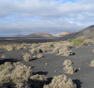Parc naturel des volcans et cratère de caldera de la rilla - Masdache - 5