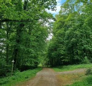 Sentier du Buchwald - Boulay-Moselle - 4