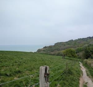Gorge des Moutiers depuis Varengeville-sur-Mer - Varengeville-sur-Mer - 3