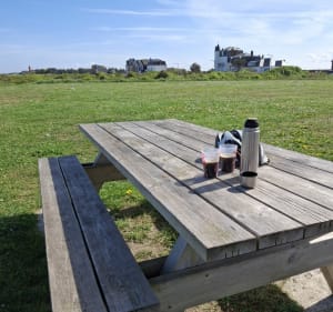 De Vaudricourt, par Cayeux sur mer à vélo - Vaudricourt - 4