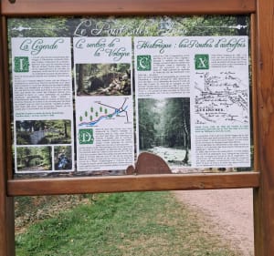Balade depuis le Camping du Domaine de Longemer - Xonrupt-Longemer - 3