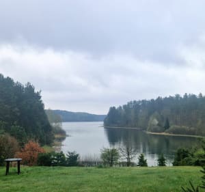12km po kaszubskich lasach i polach dookoła jeziora - Węsiory - 4