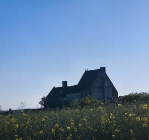 Entre Vienne et Indre et Loire - Beuxes - 3