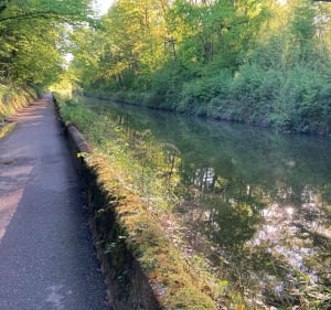Promenade agréable au sud de Nancy - Jarville-la-Malgrange - 4
