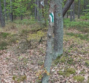 Na Złotą górę w Ostrowach Tuszowskich - Mielec - 3