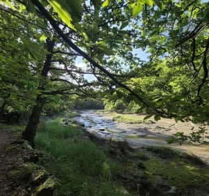 Bois du Hénan et Moulin Mer - Névez - 4