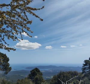 1ère étape mare a mare sud, de Porto-Vecchio - Porto-Vecchio - 3