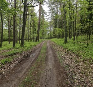 Malownicza trasa rowerowa - Nidzica - 4