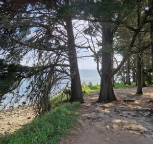 Boucle de Kerjouanno au port du Crouesty - Arzon - 3