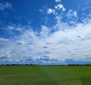 Droga Jaworowa - Słupsk - 3