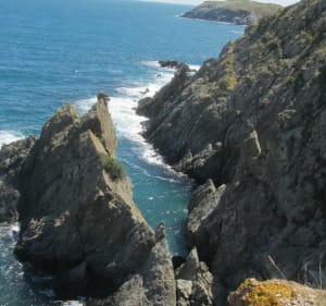 Sentier du littoral depuis Portbou - Portbou - 4