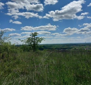 Rajd Miłka. Czyste szlaki - Busko-Zdrój - 3