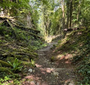 Sentier sur la montagne des grottes de la Balme - La Balme-les-Grottes - 4