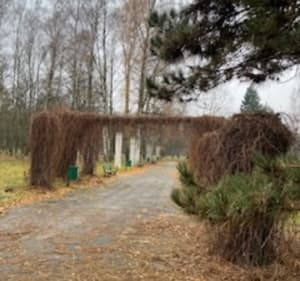 Trasa spacerowo-biegowa w parku im. J. Piłsudskiego - Agata - 4