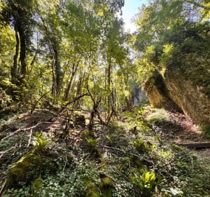 Sentier sur la montagne des grottes de la Balme - La Balme-les-Grottes - 5