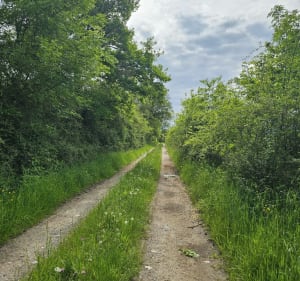 Petite marche à Sainte Foy Saint Sulpice - Sainte-Foy-Saint-Sulpice - 3