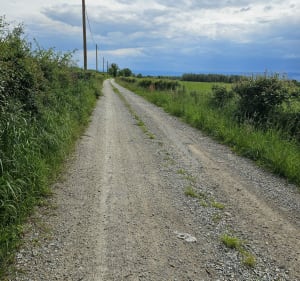 Petite marche à Sainte Foy Saint Sulpice - Sainte-Foy-Saint-Sulpice - 4