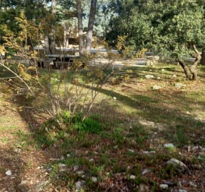 Marche aux Cèdres depuis Cabrières-d'Avignon - Cabrières-d'Avignon - 4