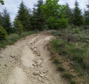 Balade entre Châteauneuf et Donzère par le Fourfouillet - Malataverne - 4
