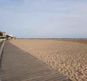 Arcachon entre terre et mer - Arcachon - 3