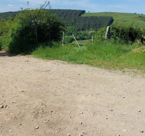 Boucle au sud de Farnay - Farnay - 5