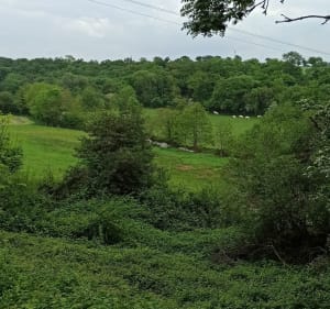 Au gré de la rivière La Mayenne - Couptrain - 4