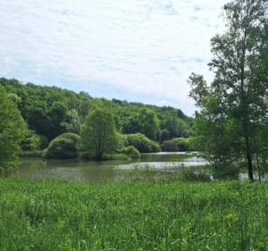 Balade dans la vallée de la Bresme - Luynes - 3
