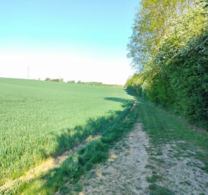 La boucle des champs depuis Saint-Aubert - Saint-Aubert - 3