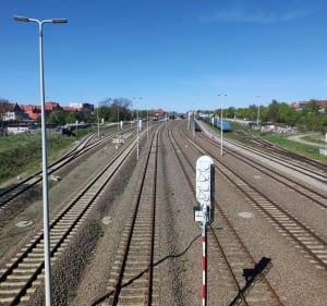 Moje miasto - Kwidzyn - 5