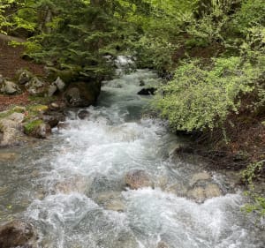 Courtaou des Esclodes - Campan - 5