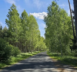 Gostynińsko-Włocławski Park Krajobrazowy - Włocławek - 3